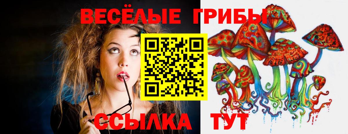 Псилоцибиновые грибы MAGIC MUSHROOMS Амурск